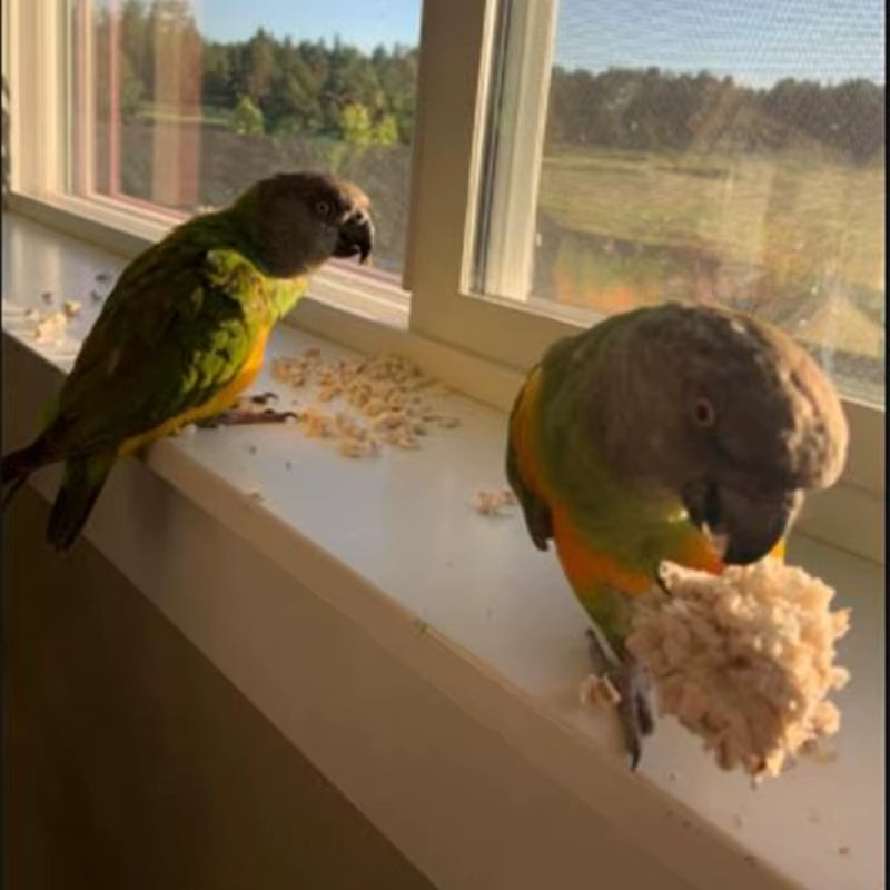 3 Pack Bird Chewing Toy Natural Sola Ball Parrot Shredder Foraging Toy for Finch Cockatiel African for Grey Gerbil Dropshipping