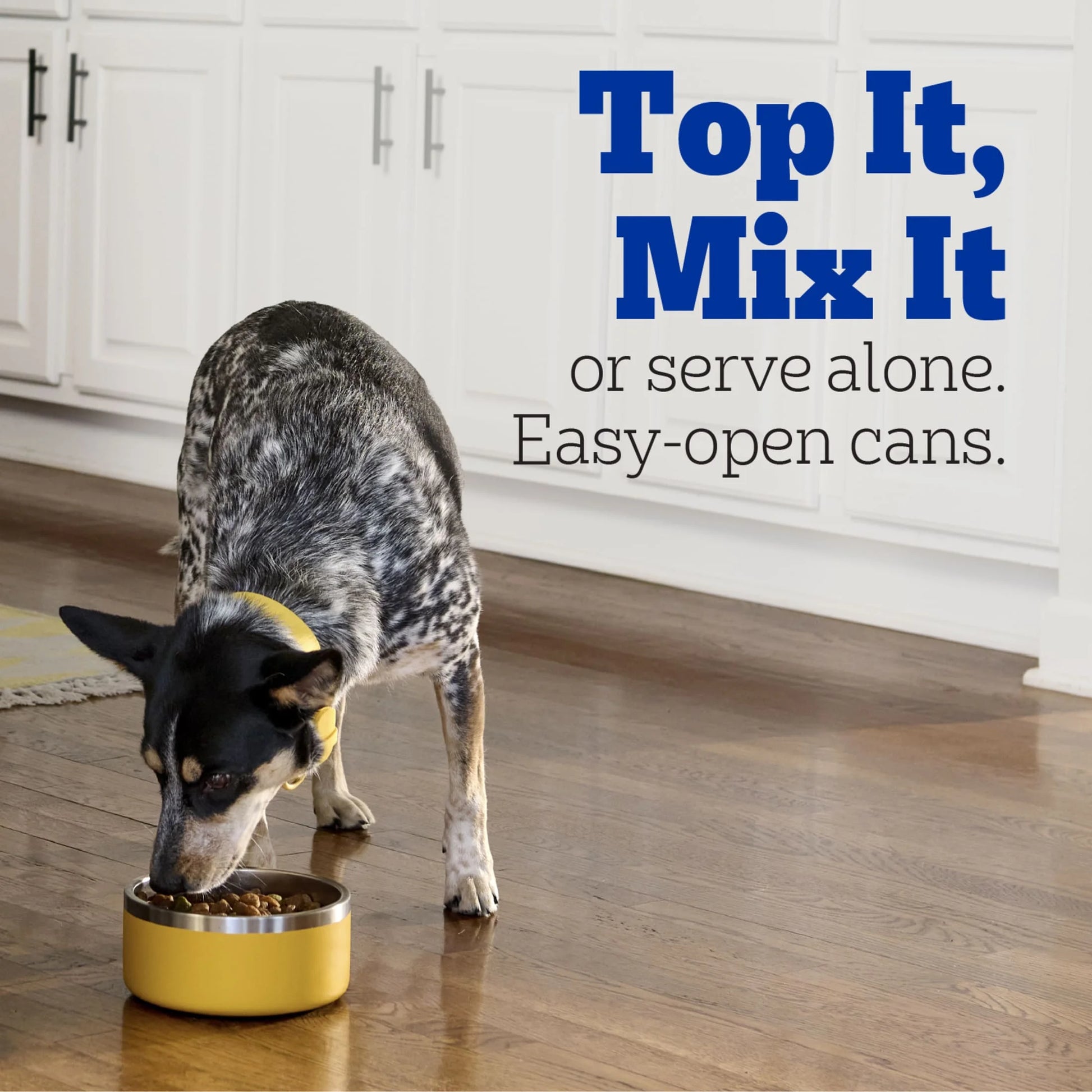 Choice Cuts in Gravy Adult Soft Wet Dog Food with Beef Multipack, 13.2 Oz Cans 12 Pack