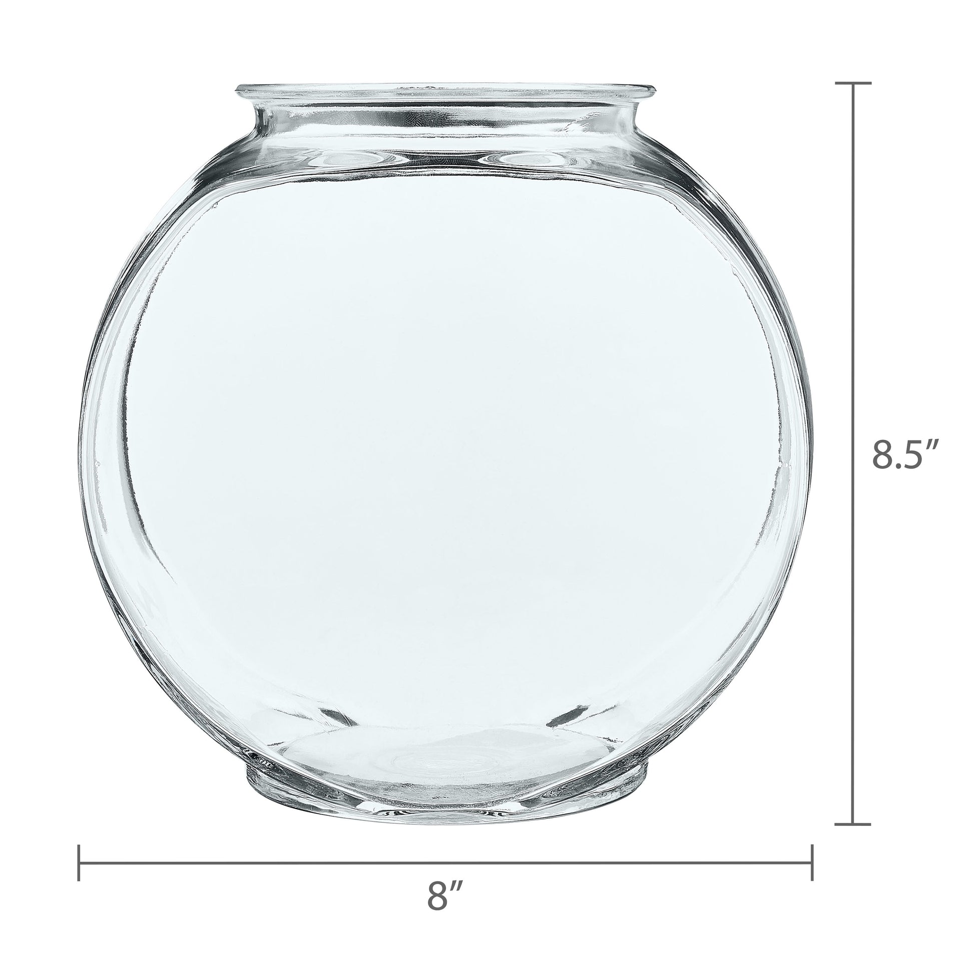 Glass Fish Bowl with Starter Kit, 1 Gallon