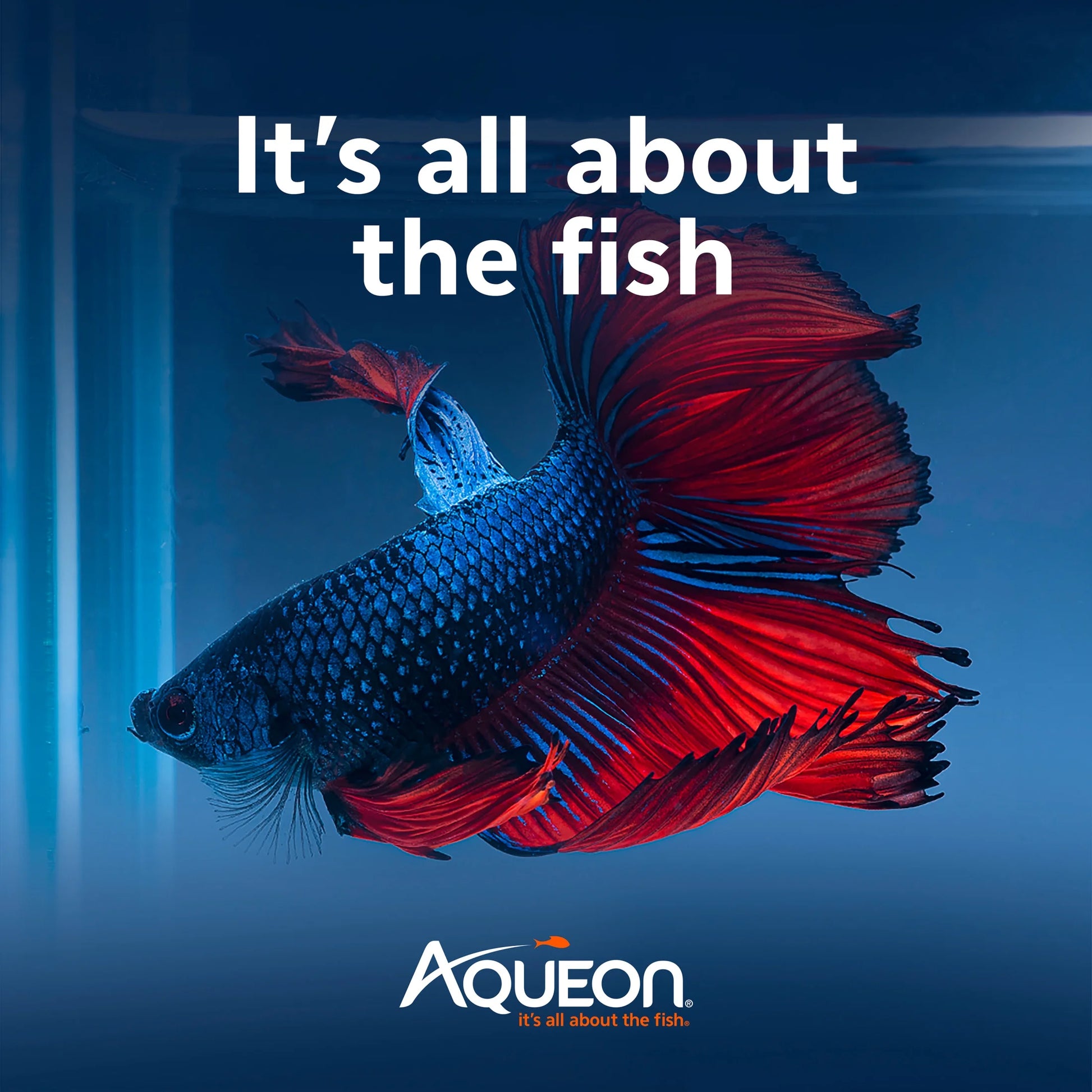 (2 Pack)  Betta Color Pellets 1 Ounce