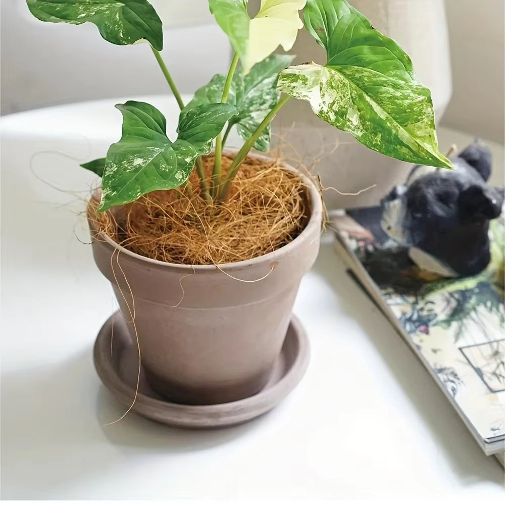 Natural Coconut Fiber Nesting Material for Bird Cages Finches Aviary Nest Filled Grass Bird Cage Accessories