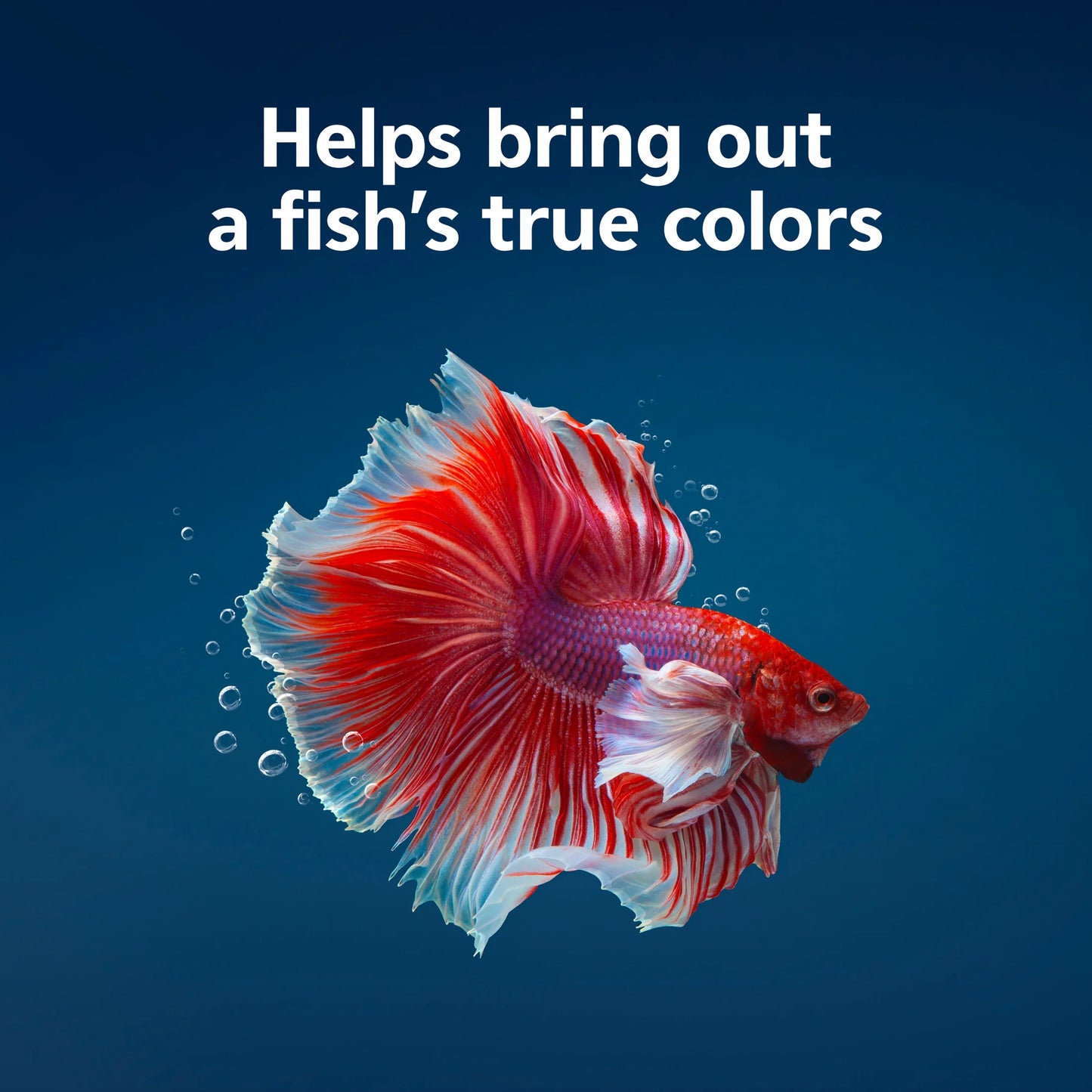 Betta Color Pellets 1 Ounce