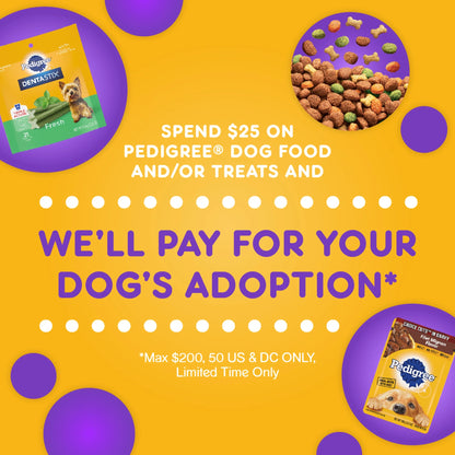 Chopped Ground Dinner Filet Mignon & Beef Variety Pack Wet Dog Food, 13.2 Oz. Cans 12 Pack