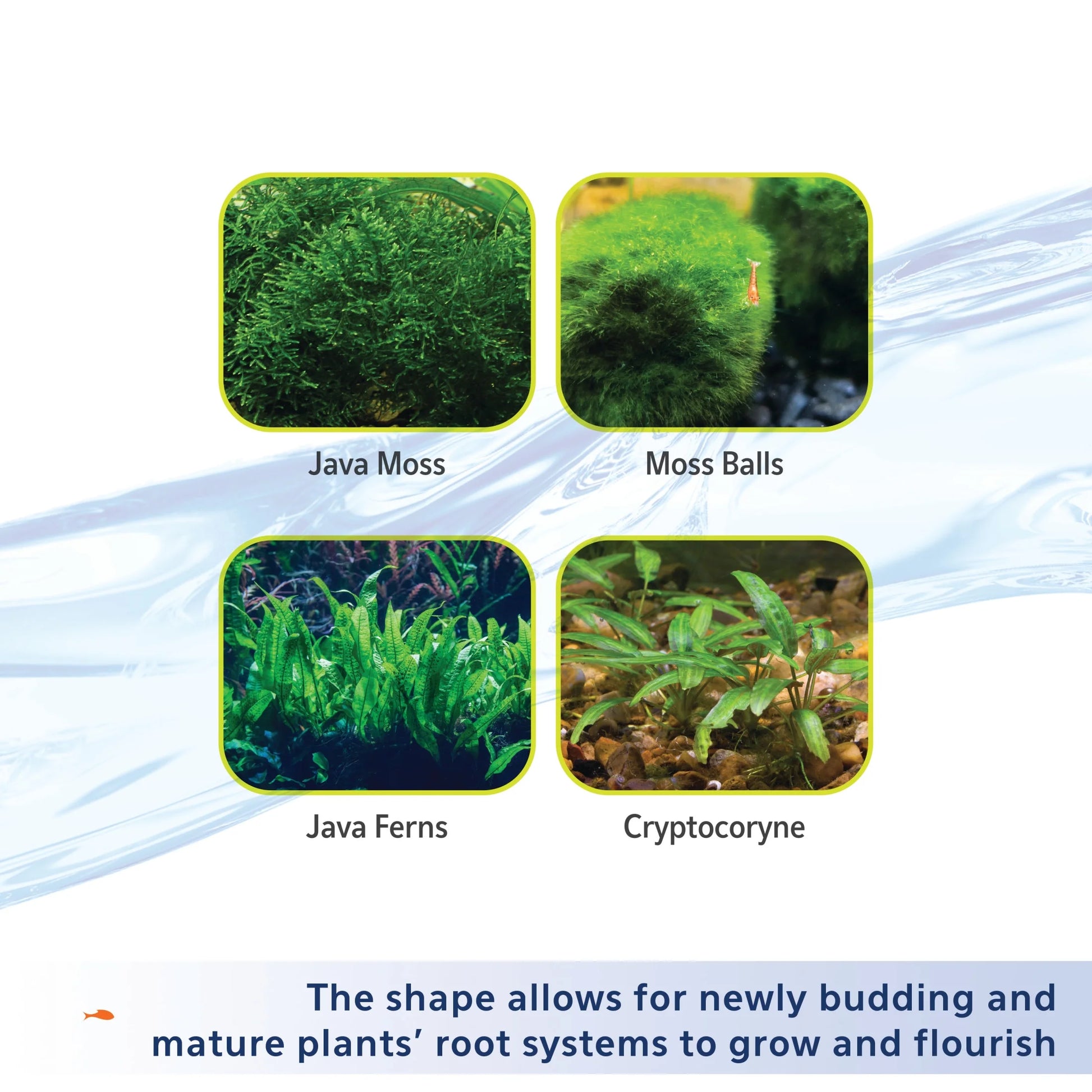 Plant, Fish and Shrimp Aquarium Clay Substrate 5 Pounds