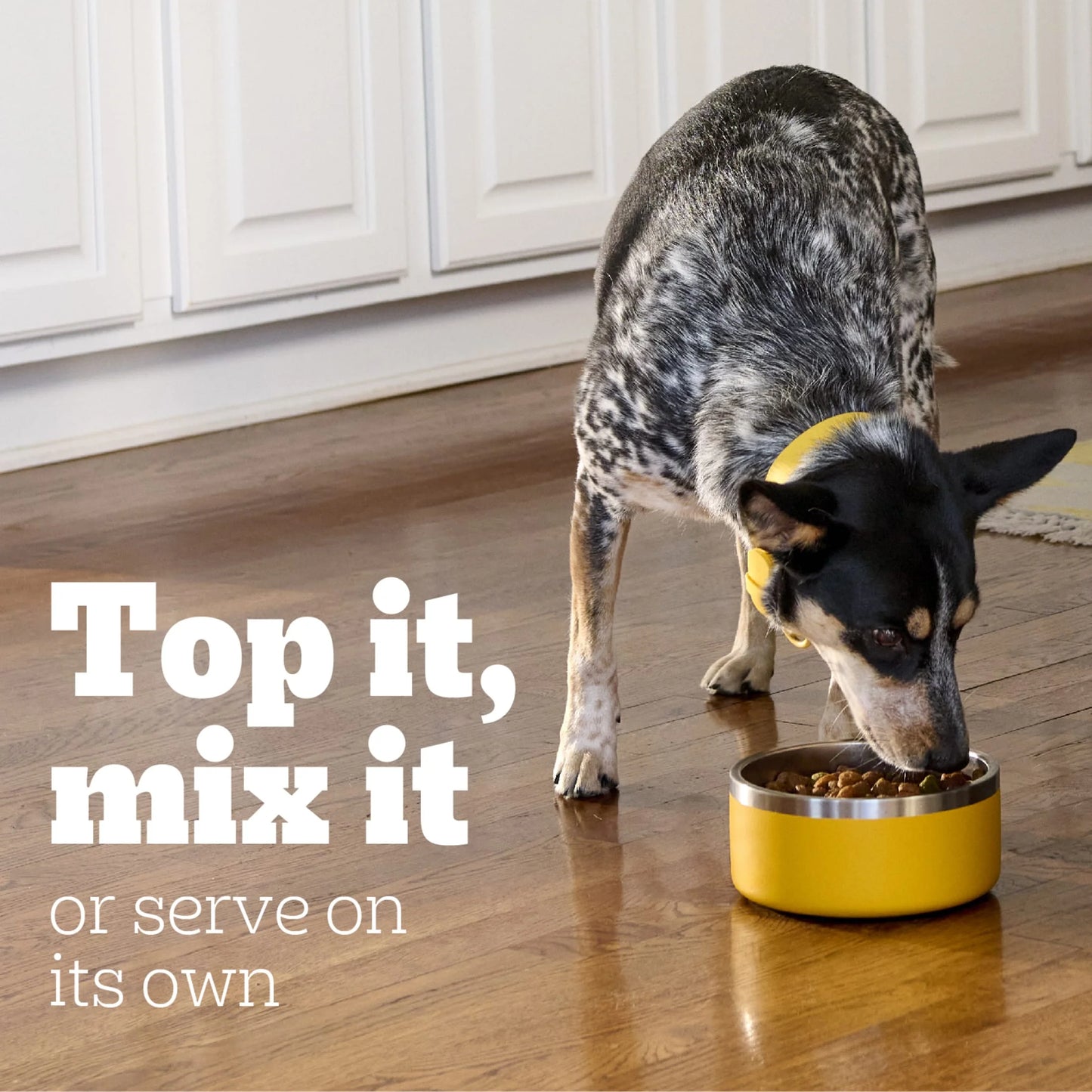 Chopped Ground Dinner Filet Mignon & Beef Variety Pack Wet Dog Food, 13.2 Oz. Cans 12 Pack