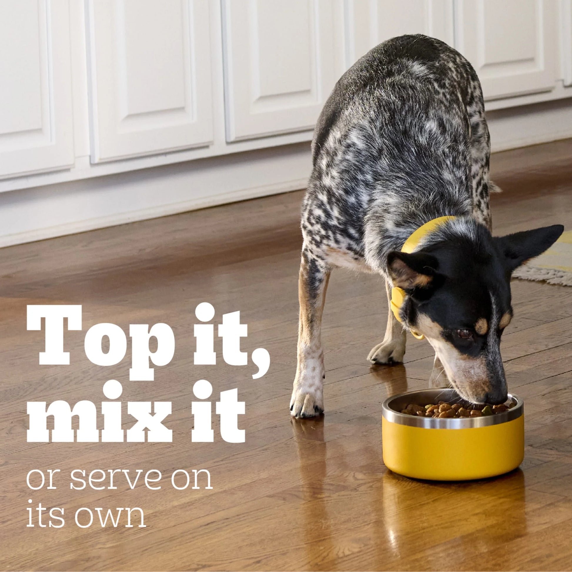 Chopped Ground Dinner Filet Mignon & Beef Variety Pack Wet Dog Food, 13.2 Oz. Cans 12 Pack