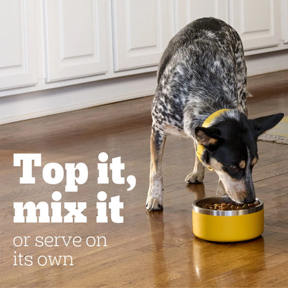 Chopped Ground Dinner Filet Mignon & Beef Variety Pack Wet Dog Food, 13.2 Oz. Cans 12 Pack