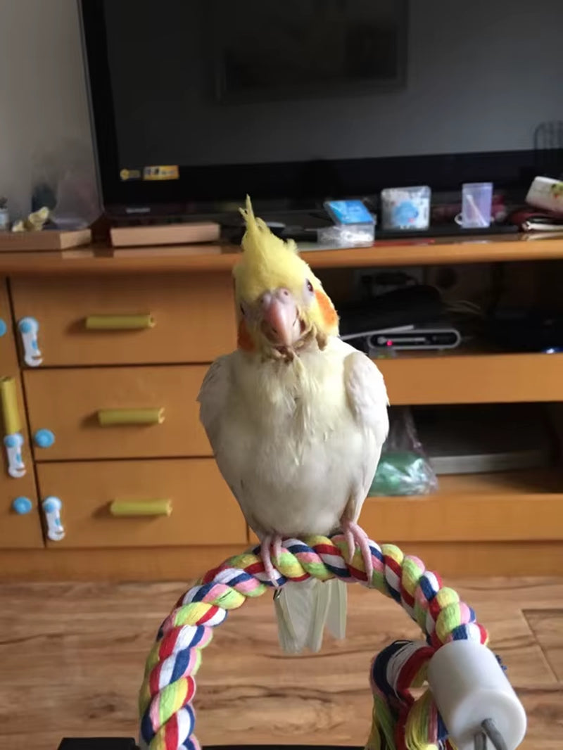 New 160Cm Long Parrot Bird Toys Pet Bird Parrot Standing Rope Bird Cage Decoration Climbing Toy Parrot Bird Cage Toys Rope Bell