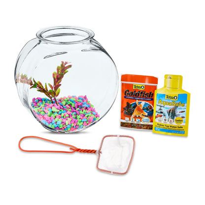 Glass Fish Bowl with Starter Kit, 1 Gallon