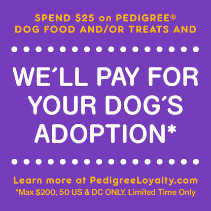 Chopped Ground Dinner Filet Mignon & Beef Variety Pack Wet Dog Food, 13.2 Oz. Cans 12 Pack