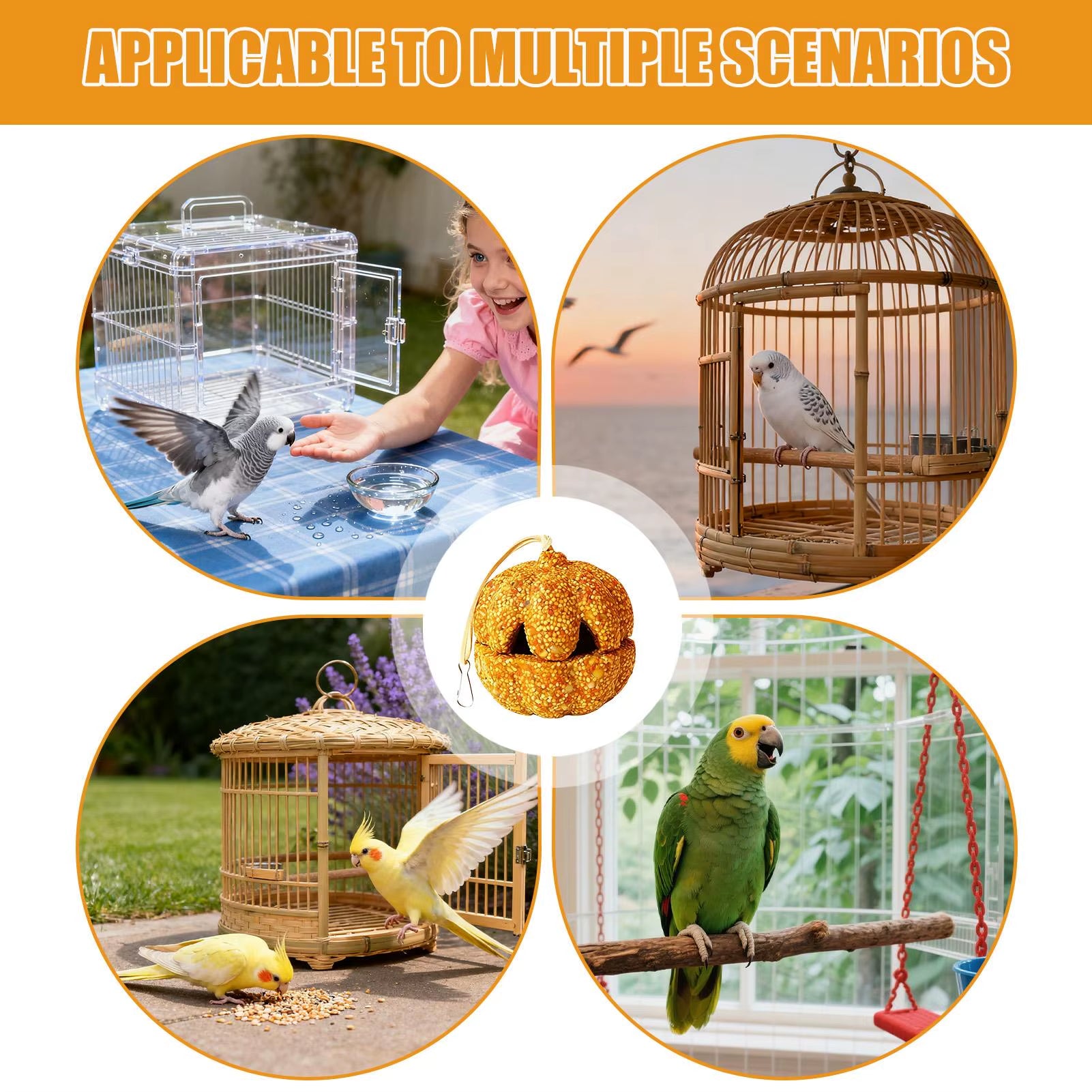 Conure Treats Treat Chew for Parrot Pumpkin Shape Cockatiel Snacks for Canary Guinea Chinchilla Lovebird Conure