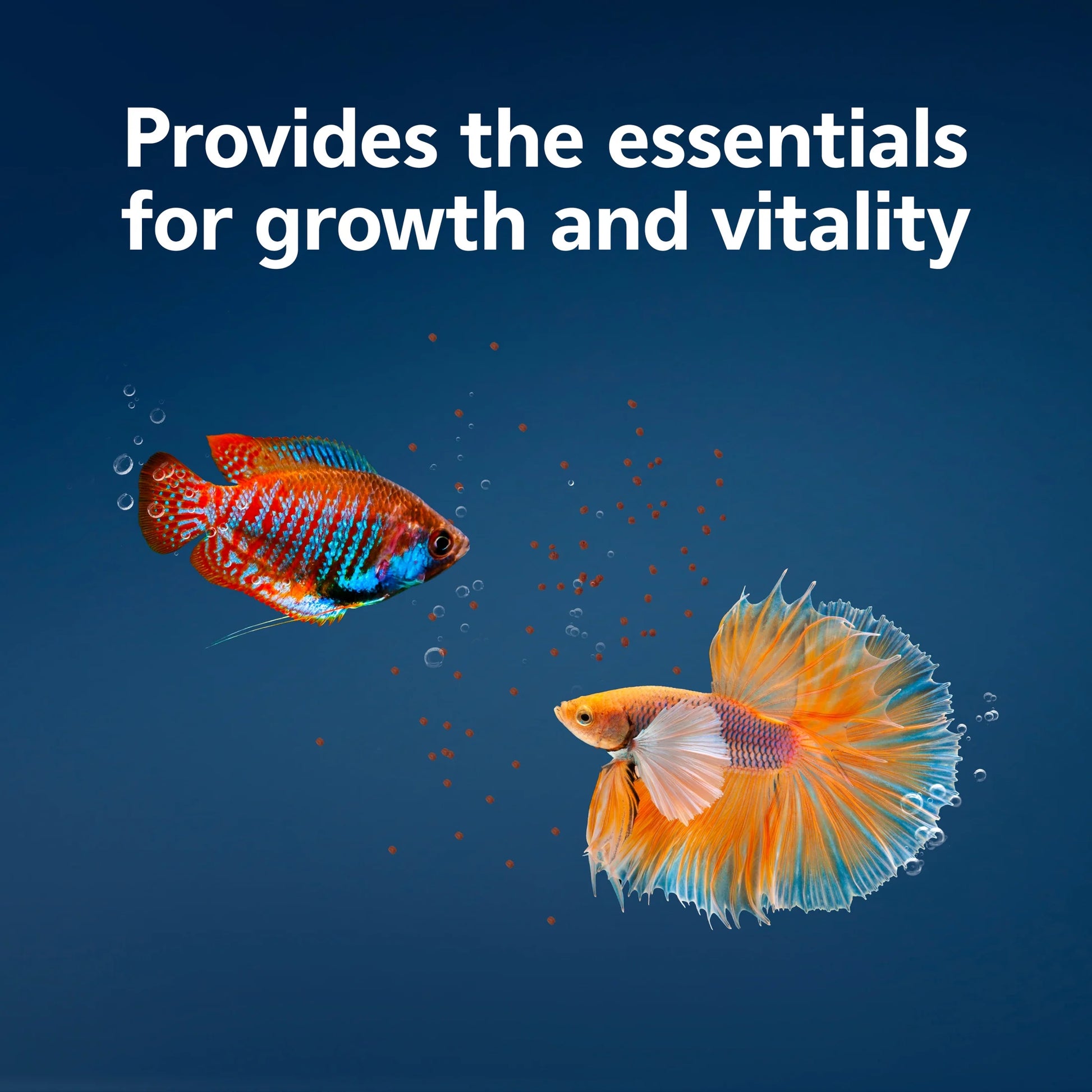 Betta Color Pellets 1 Ounce