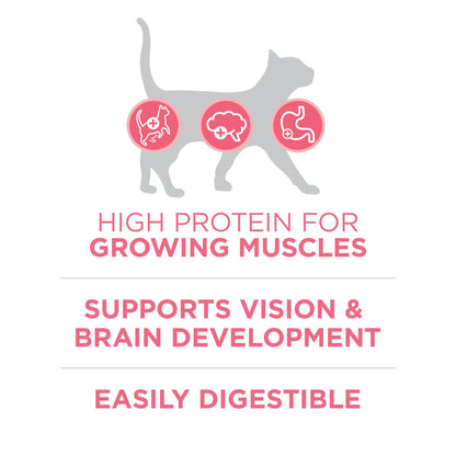 Plus, Healthy Kitten Formula, Dry Kitten Food, Chicken, 7 Lb Bag