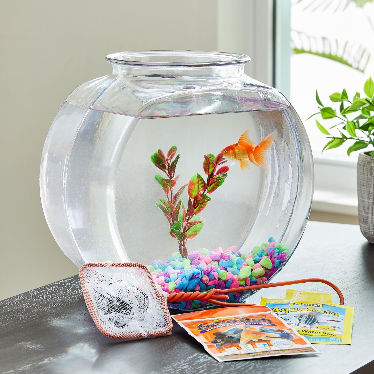 Glass Fish Bowl with Starter Kit, 1 Gallon