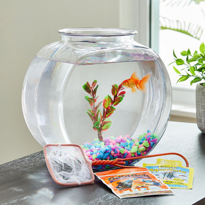 Glass Fish Bowl with Starter Kit, 1 Gallon