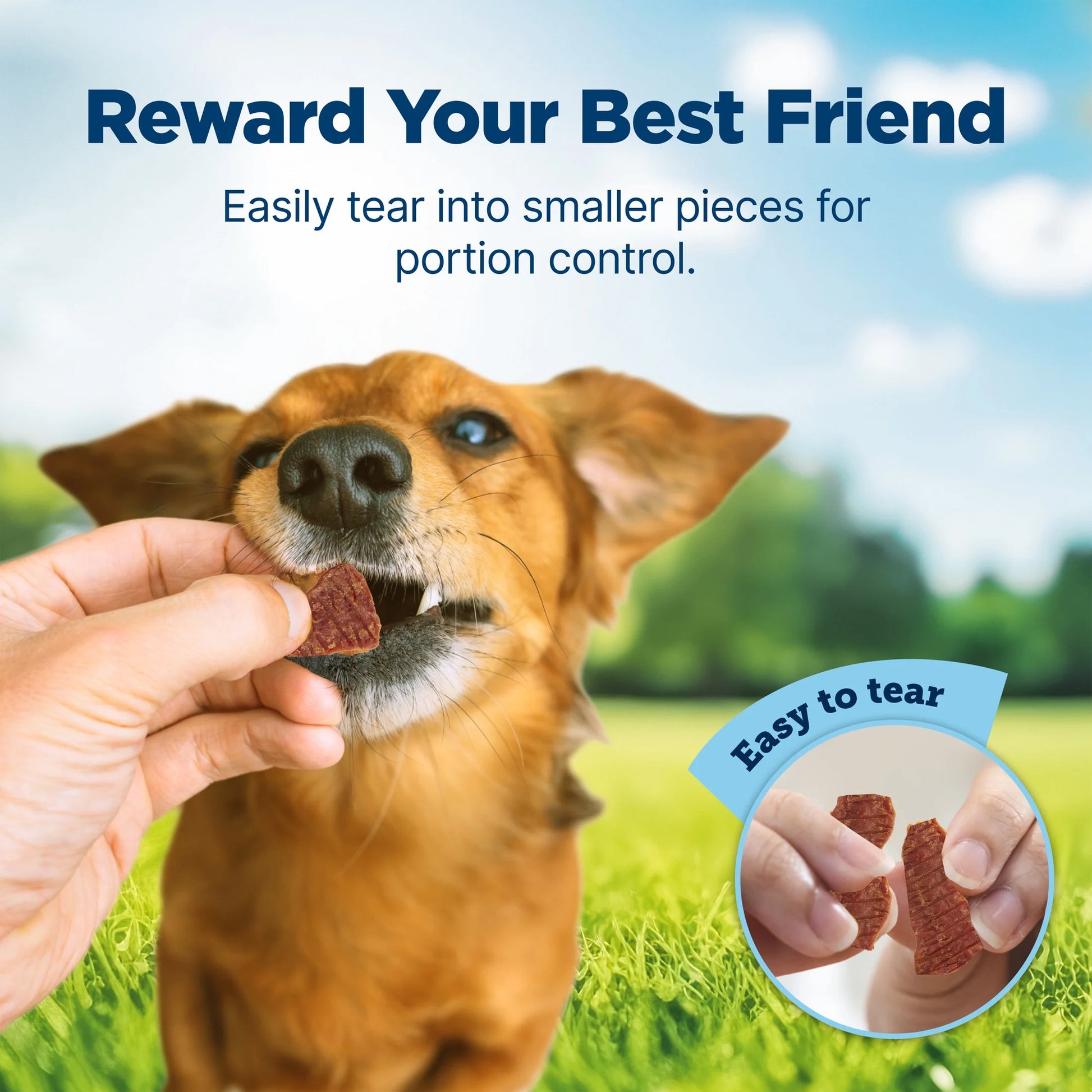 Nudges Homestyle Natural Dog Treats Made with Real Chicken, 16-Oz. Bag