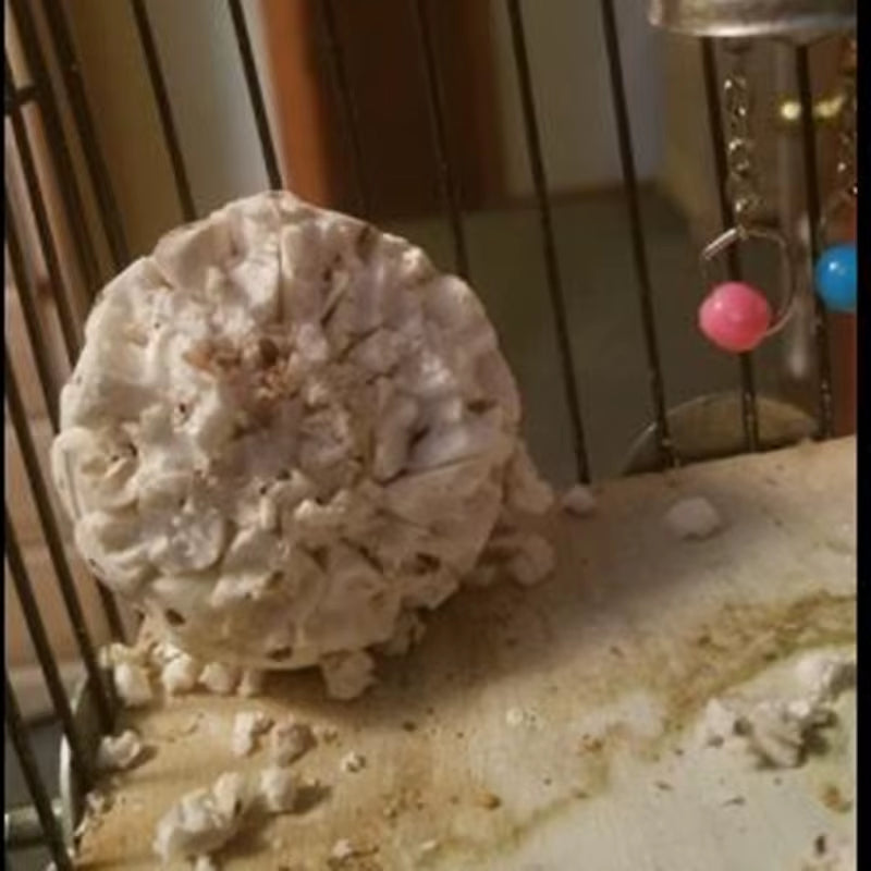 3 Pack Bird Chewing Toy Natural Sola Ball Parrot Shredder Foraging Toy for Finch Cockatiel African for Grey Gerbil Dropshipping