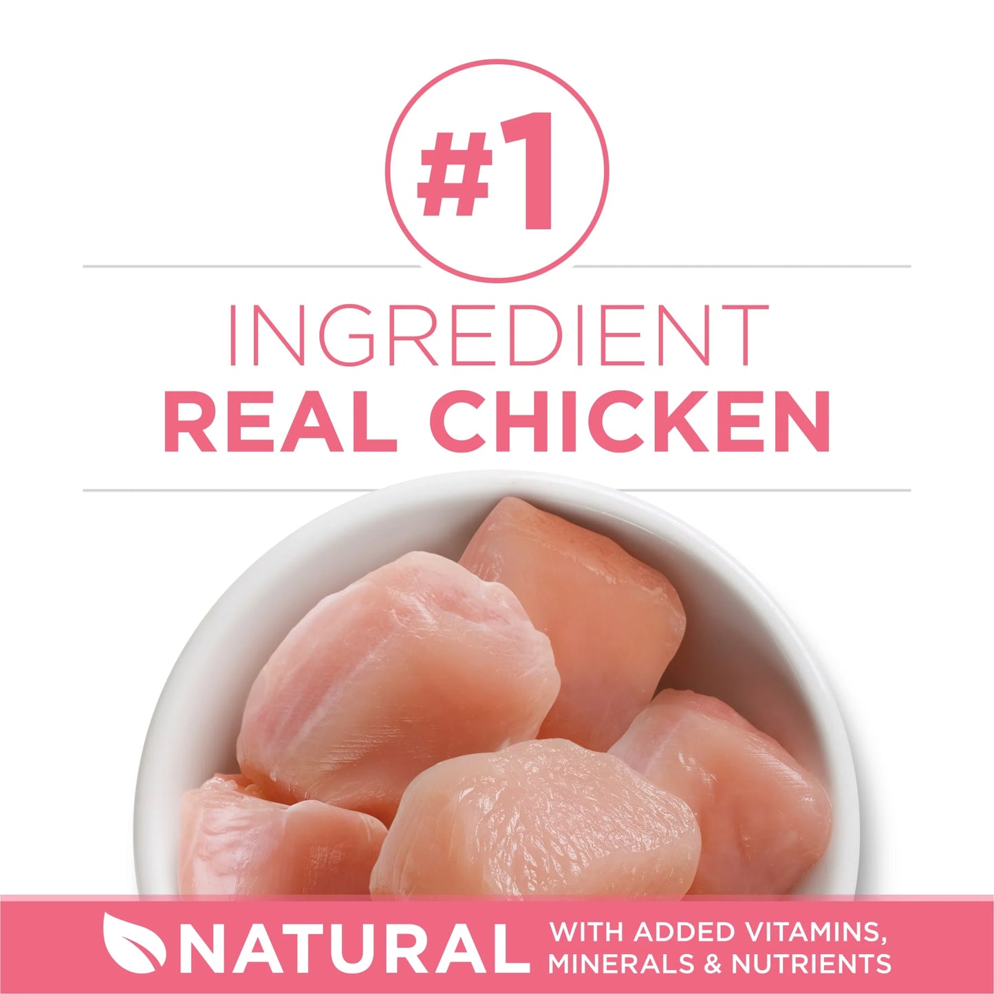 Plus, Healthy Kitten Formula, Dry Kitten Food, Chicken, 7 Lb Bag