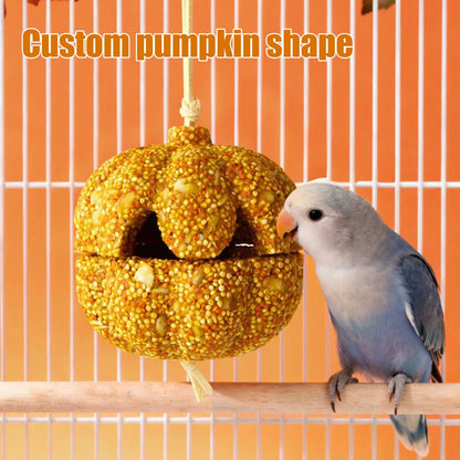 Conure Treats Treat Chew for Parrot Pumpkin Shape Cockatiel Snacks for Canary Guinea Chinchilla Lovebird Conure